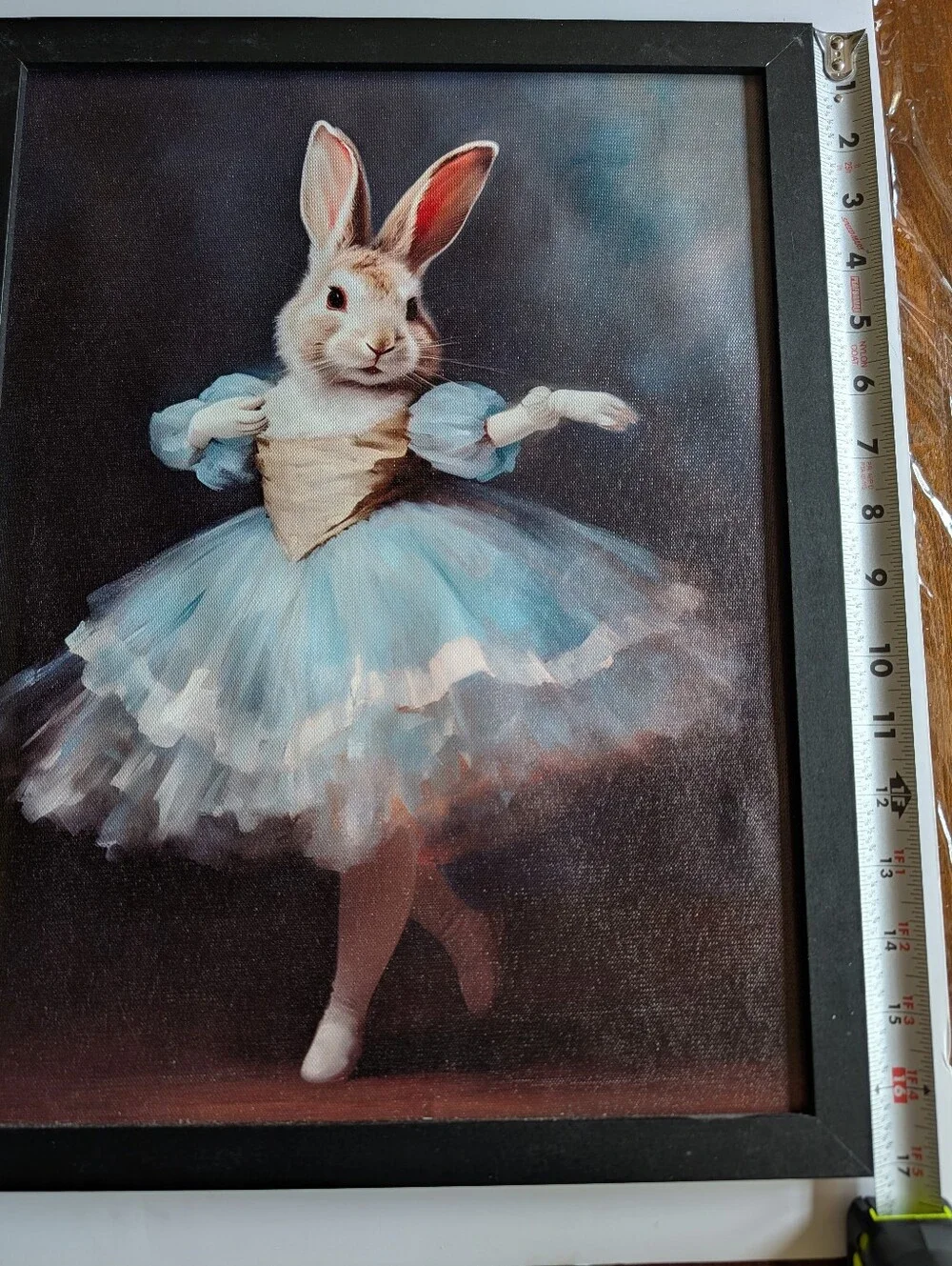 Bunny Ballerina Framed Wall Art